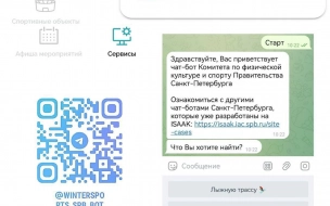 Telegram-бот с информацией о катках и лыжных трассах запустили в Петербурге