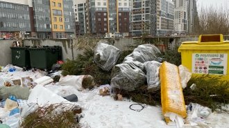 Более 9 тысяч новогодних елок собрали на переработку в Петербурге
