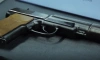 Онлайн-магазин отправил петербурженке заказ и оружие в подарок