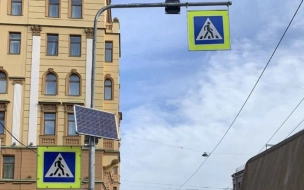 В семи районах Петербурга в 2024 году установят новые светофоры Т7