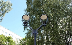В сквере Блокадников в Петербурге ведется строительство наружного освещения