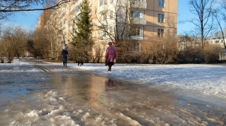 В Петербурге 10 февраля температура вновь будет выше климатической нормы