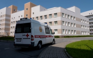 В Петербурге еще 3274 человека за сутки официально заболели коронавирусом