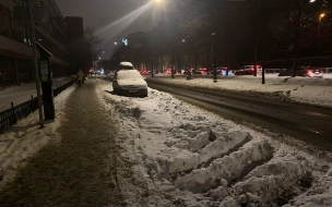 В Петербурге опубликовали график уборки платной парковки