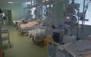 За сутки коронавирусом в Петербурге официально заболели еще 1468 человек