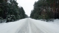 В Ленобласти 26 декабря ожидается до -7 градусов и голол...