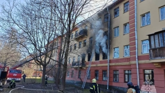 В Пушкине тушат крупный пожар в доме на Павловском шоссе 