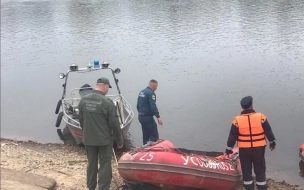 Найдены тела всех трех детей, пропавших на реке в Приморье
