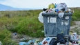 В России хотят снизить тариф за вывоз мусора