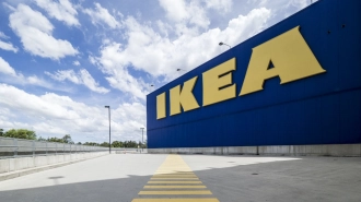 Стало известно, что IKEA планирует вернуться в Россию 