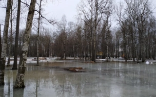 В Петербурге готовы 7 авиасудов на случай паводка