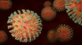 Ученые выяснили, что тяжелая форма коронавируса зависит ...
