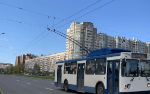 Петербуржцы час не могли покинуть холодный троллейбус