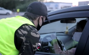 На Таллинском шоссе полицейские поймали продавца наркотиков 