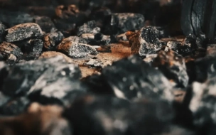 В Ленобласти после пожара в бытовке нашли человеческие останки