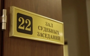 В Петербурге подростку дали 5,5 лет колонии за убийство бабушки на проспекте Юрия Гагарина