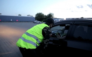 Проезд по улице Савушкина будет закрыт до 21 апреля