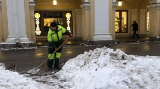 Петербург не страдает от дефицита дворников в преддверии зимы