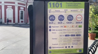 Петербуржцы могут оформить разрешение для платной парковки в Центральном районе
