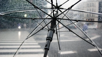 В Петербурге объявлен "оранжевый" уровень опасности из-за дождя