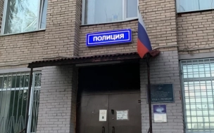 Сотрудницу музея из Тосно ограбили на 1,5 млн рублей