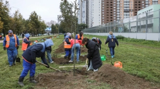 Закон о поддержке НКО в сфере благоустройства принят в Петербурге