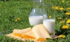 Диетолог дала рекомендации по употреблению молочной продукции