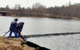 Специалисты из Петербурга очистили от нефтепродуктов бухту Радуга