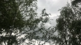 Водителей Ленобласти предупредили о сюрпризах на дороге ...