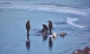  Петербургские рыбаки чуть не отправились в плавание по Финскому заливу на льдине