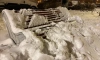 Морозно и снежно будет в Петербурге 1 декабря