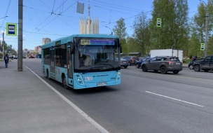 Петербуржцы призвали Смольный вернуть "маршрутки" из-за бесконечных проблем с бирюзовыми автобусами