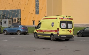 Мальчик, выпавший из окна на Богатырском проспекте, скончался в больнице