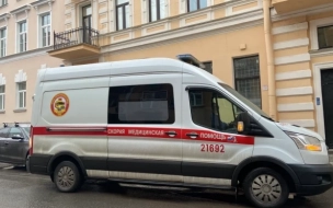 Шестиклассница, переходившая дорогу на "красный", попала под машину в Красногвардейском районе