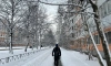 В Ленобласти 8 марта ожидается метель и до -4 градусов