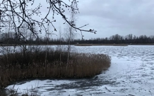 В МЧС предупредили о резком похолодании в Петербурге и области