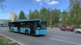 В Колпино 17 автобусных маршрутов ждут изменения