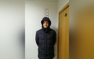 СК Петербурга разыскивает новых жертв педофила с Дачного проспекта