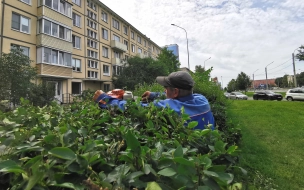 Комитет по благоустройству начал подготовку к зиме в Петербурге