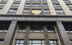 Госдума рассмотрит проекты постановления по признанию ДНР и ЛНР 15 февраля