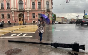 Из-за сильного ветра в Петербурге объявили "желтый" уровень опасности
