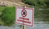 Специалисты Выборгского района провели совместный рейд по местам массового отдыха у воды