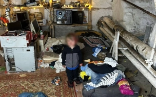 Прокуратура заинтересовалась детьми, проживающими в подвале дома по Московскому шоссе