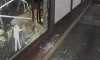 На Заневском неизвестный разбил витрину магазина туристического снаряжения и был пойман Росгвардией