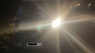 На дороге "Гатчина – Ополье" водитель сбил насмерть 63-летнего пешехода