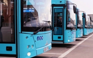 На 9 автобусных маршрутов в Петербурге вышли новые лазурные автобусы