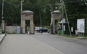 Женщину задержали за записку на могиле родителей Путина