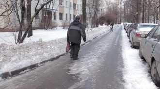 Небольшой снегопад и облачная погода ожидаются в Петербурге 4 января