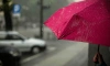 В Ленобласти 21 марта в большинстве районов пройдёт небольшой дождь