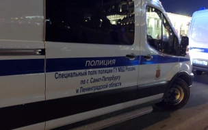 Петербуржец избил шестилетнего сына в Невском районе
